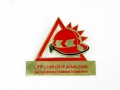 pins-08