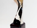 trophy-10